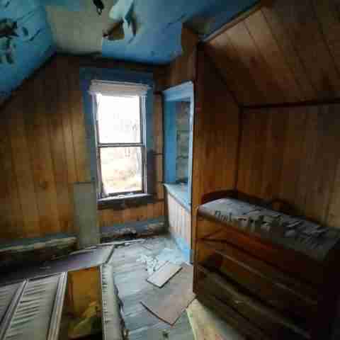 8031 conger (42).jpg